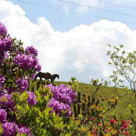 Skałka Gospodarstwo agroturystyczne *