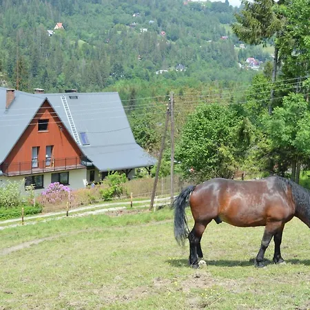 Vakantieboerderij Skalka Wisła