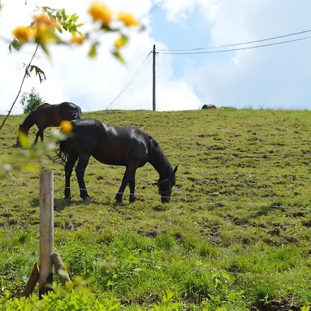 Farm stay Skalka *