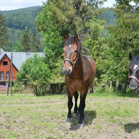 Skalka *