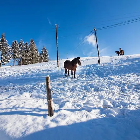 Skalka *