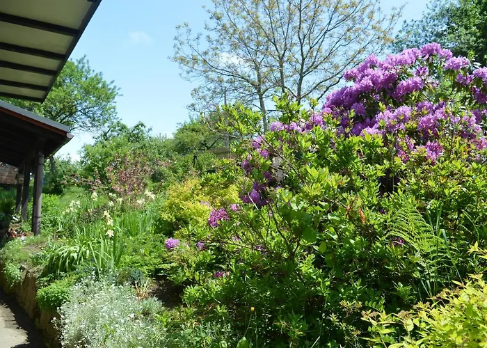 Vakantieboerderij Skalka Wisła