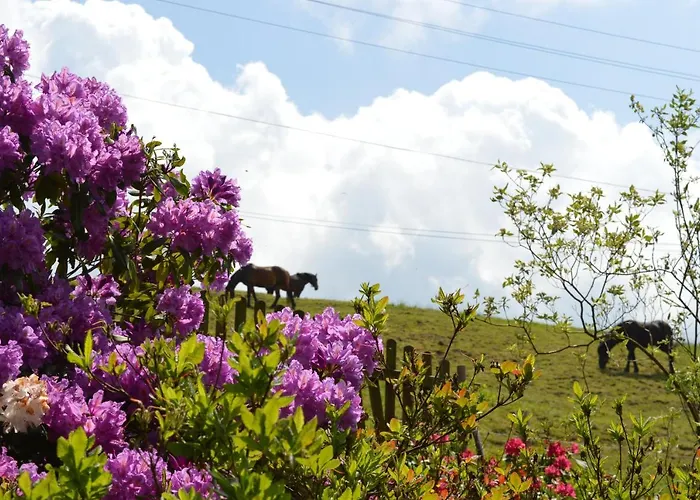 Skalka Vakantieboerderij *