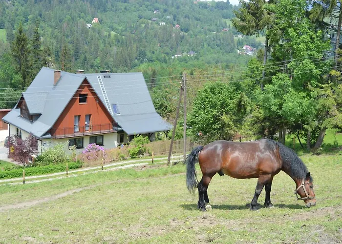 Vakantieboerderij Skalka Wisła