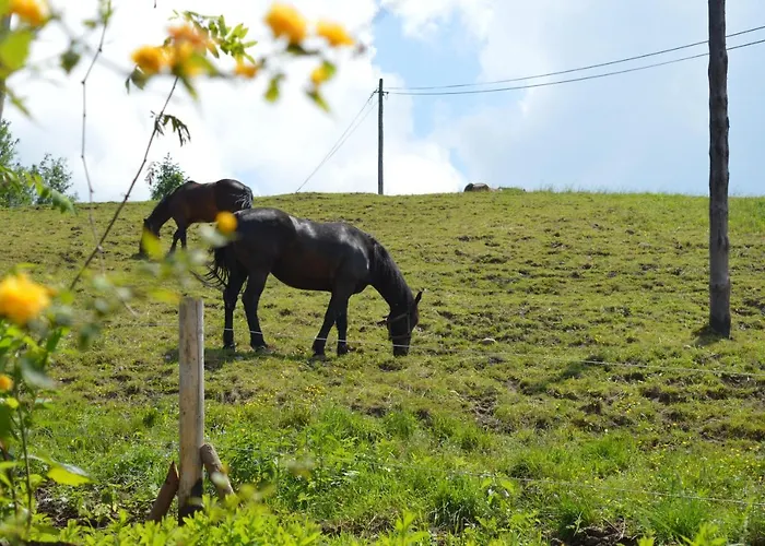 Vakantieboerderij Skalka *